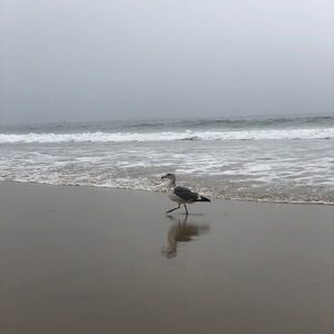 Meet your Posher, Kristi